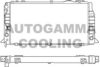 AUTOGAMMA 100049 Radiator, engine cooling